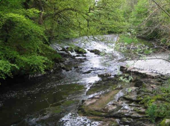 Burn Cottage Cabin Armagh Εξωτερικό φωτογραφία